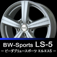 BW-Sports LS-5
